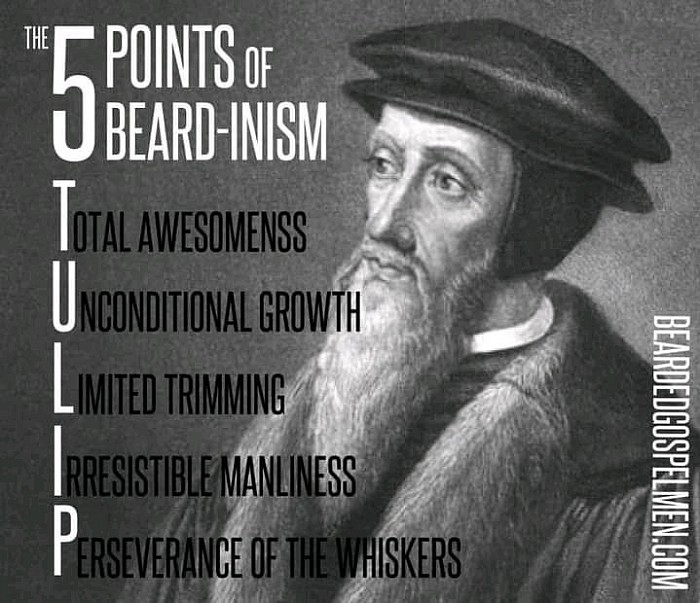 5-Points of Beard-inism